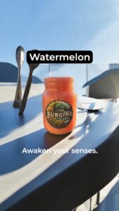 Watermelon Sea Moss Gel - Flavored